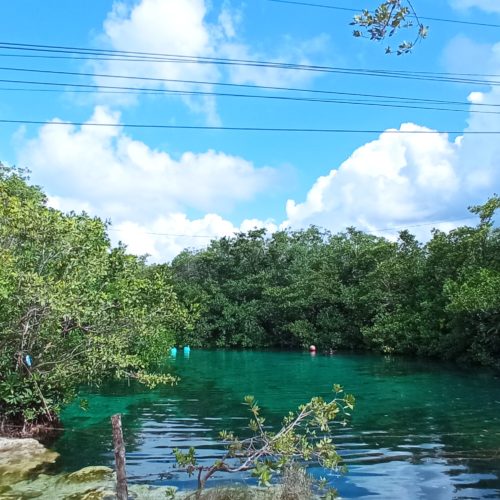 Cenotes Tulum