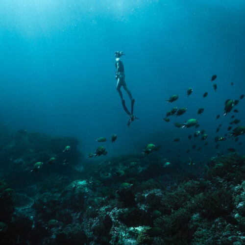Diving
