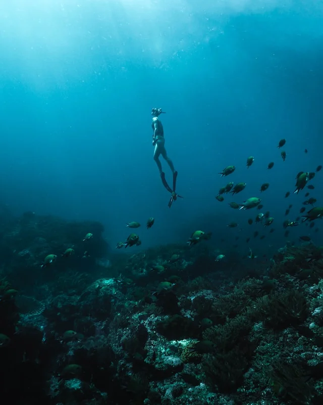Diving in Tulum
