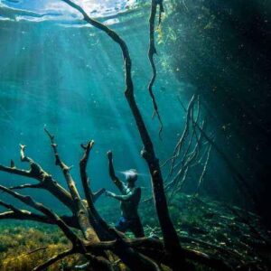 Snorkeling