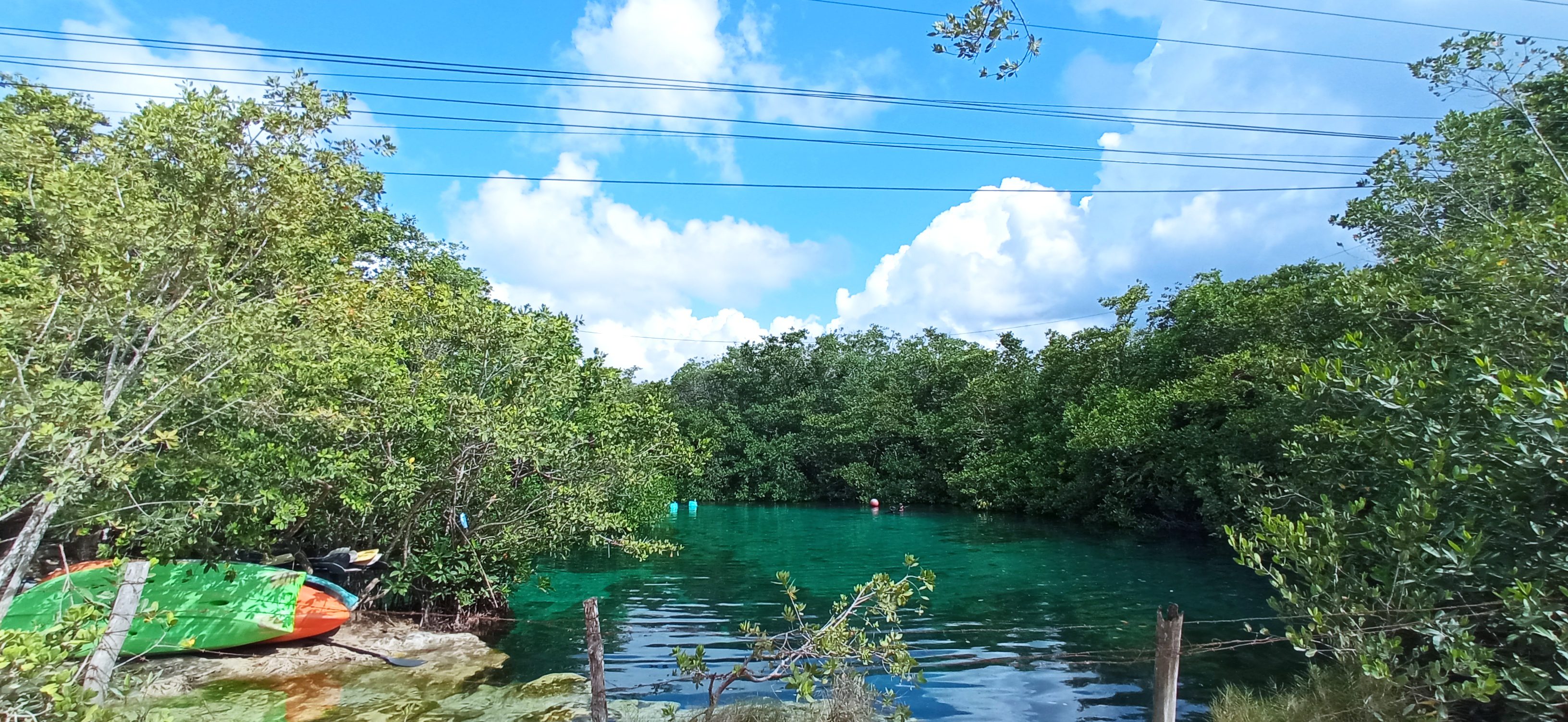 Cenotes Tulum