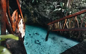Read more about the article Grand Cenote