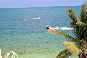 Read more about the article Boat tours