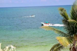 Boat tours