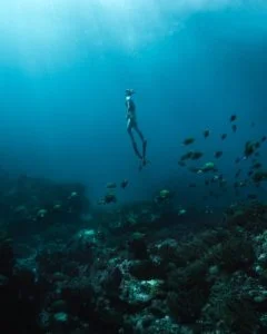 Diving in Tulum