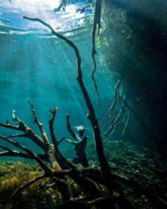 Read more about the article Snorkeling