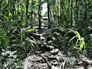 Read more about the article Muyil Ruins