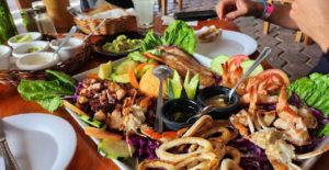 Read more about the article La barracuda Tulum