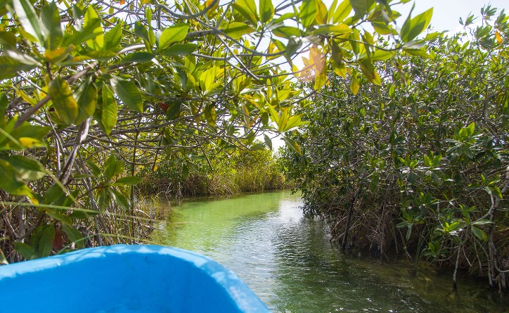 Jeremy Sian Ka’An Muyil Lagoon Tour