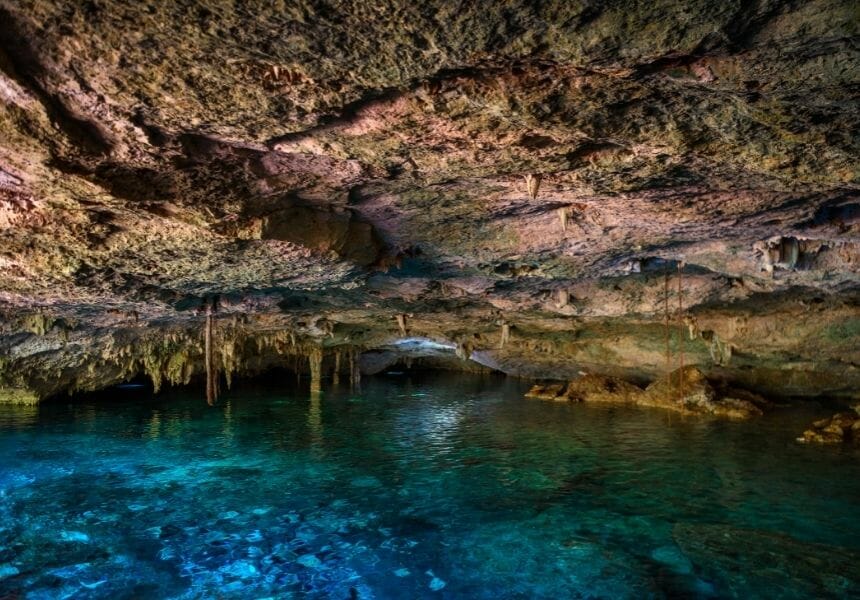 cenote tour jeremy transportation