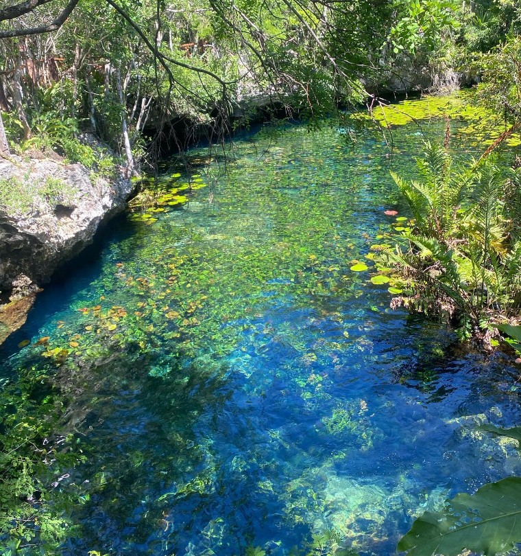 cenote tour jeremy transportation