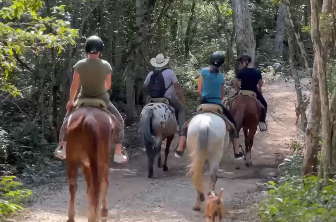 horse back riding tulum book your tour in tulum