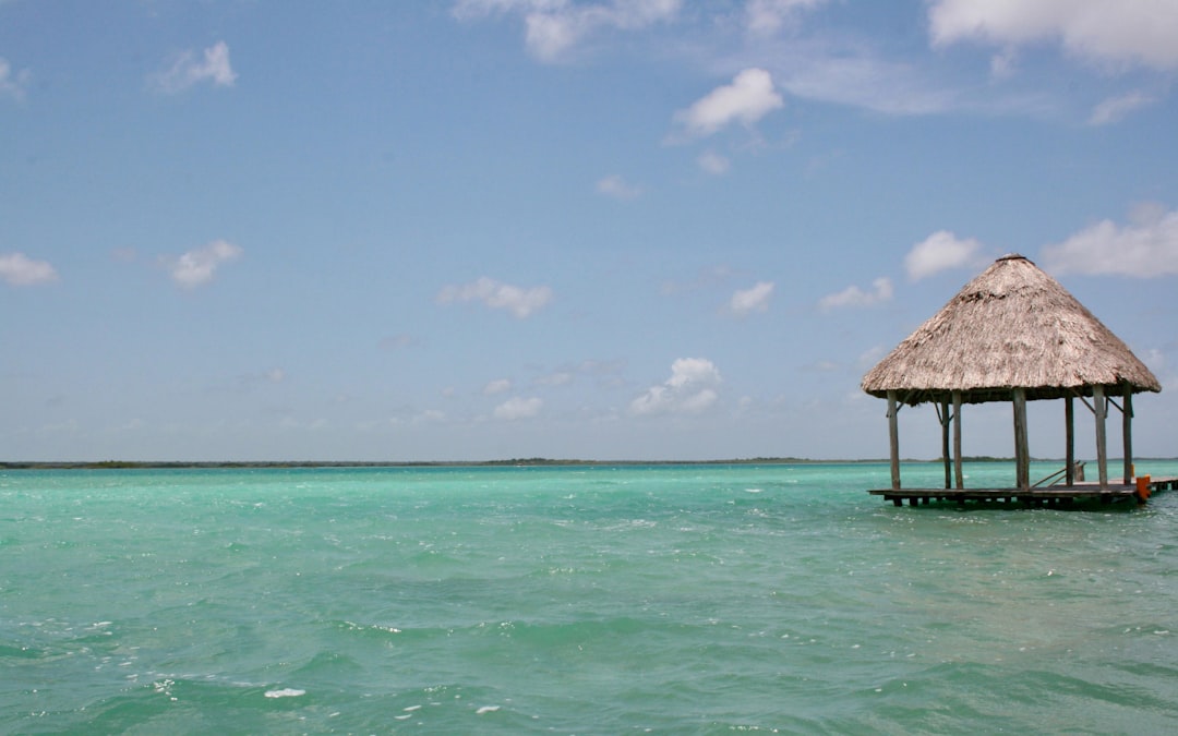Just 2.5 Hours from Tulum